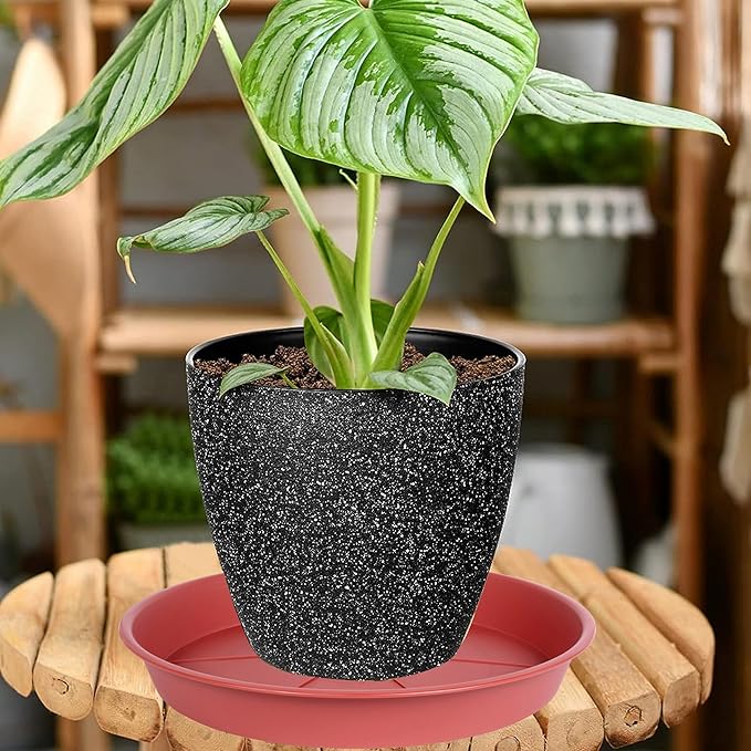6 Pack of Plant Saucer Tray 9 10 inch, Heavy Duty Plastic Pot Plant Drip Trays Saucers for for Indoors Outdoor, Plant Water Tray for Planters 9-10" (10", Clay)