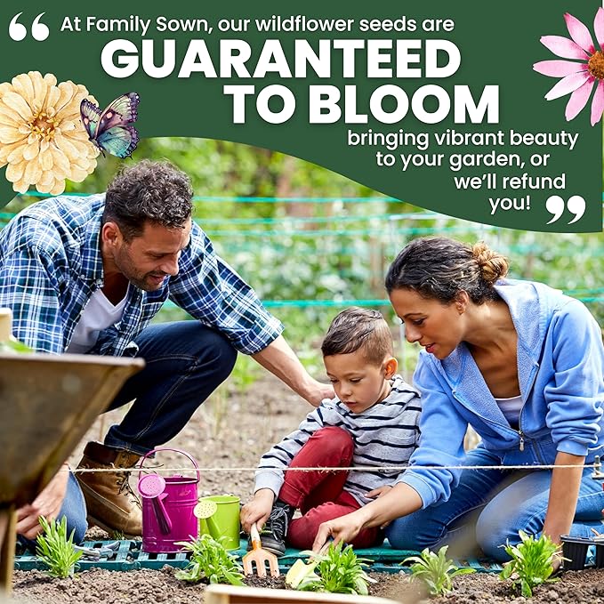 Hummingbird Butterfly Mix - Large 5g Envelope - 1,000 Flower Seeds for Planting - Wildflower Mix
