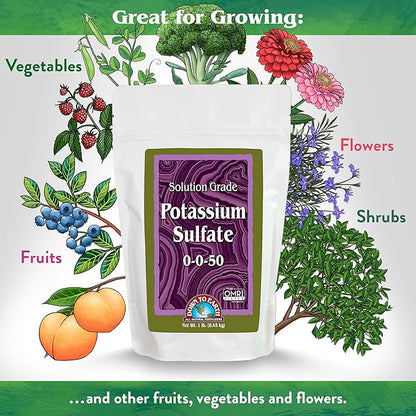 Down To Earth All Natural Fertilizers Organic Solution Grade Potassium Sulfate - Professional Grade SOP Powder 200 mesh for Liquid or Spray Applications 0-0-50, 1 lb