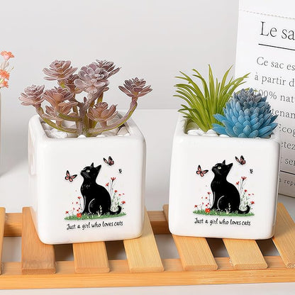Black Cat Succulent Planter Flower Plant Pot Small, Gifts for Women Teens Girls Kids, Cat Lovers Themed Stuff Accessories Things Decor Merch, Home Office Table Desk Decoration!