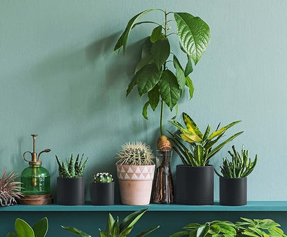 D'vine Dev 6 Pack 4 Inch Modern Plastic Plant Pots, Small Garden Planters for Plant with Drainage Holes and Saucers, Black Color, 74-Y-E-3