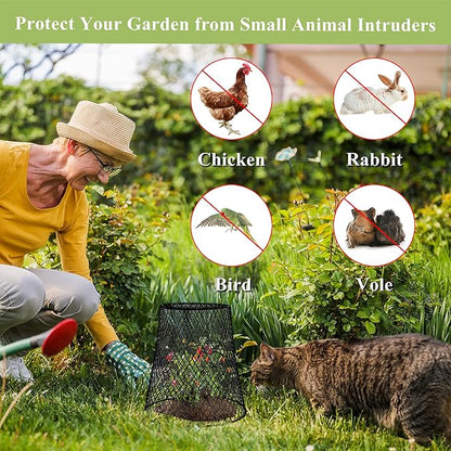 C CRYSTAL LEMON Garden Cloches for Plants, 10-Pack 9x9 in Wire Plant Protectors, Metal Plant Cages with 30 U-Shaped Ground Stakes & 20 Plant Labels, Protect Seedlings from Rabbits, Squirrels & Birds