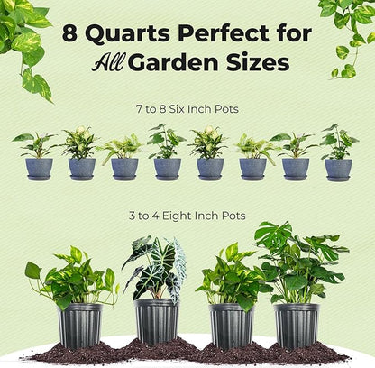 Organic Aroid Potting Mix by Perfect Plants | Chunky Gardening Soil for Tropical Indoor House Plants | Pine Bark Chips and Mycorrhizae (8qt)