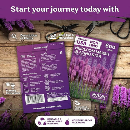 KVITER 600 Marsh Blazing Star Seeds for Planting (Liatris Spicata) – Gayfeather Dense Meadow Blazing Star Seed Packet – Heirloom Seed, Perennial Wildflower Seeds Bulk for Garden, Containers, Outdoors