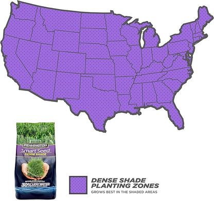 Pennington Smart Seed Dense Shade Grass Seed, 3 lb (100086851)
