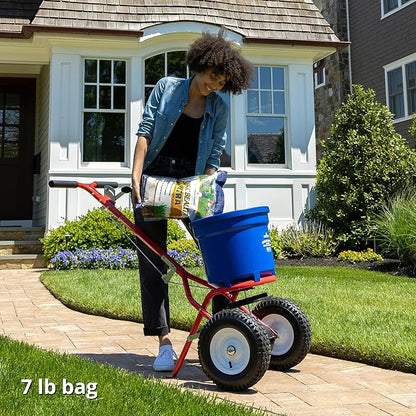 Jonathan Green (10322) Black Beauty Ultra Grass Seed - Cool Season Lawn Seed (7 lb)