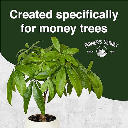 Farmer’s Secret Money Tree Liquid Plant Food Fertilizer (8oz) - Super Concentrated - Strengthen Roots and Encourage Growth in all Varieties of Money Trees