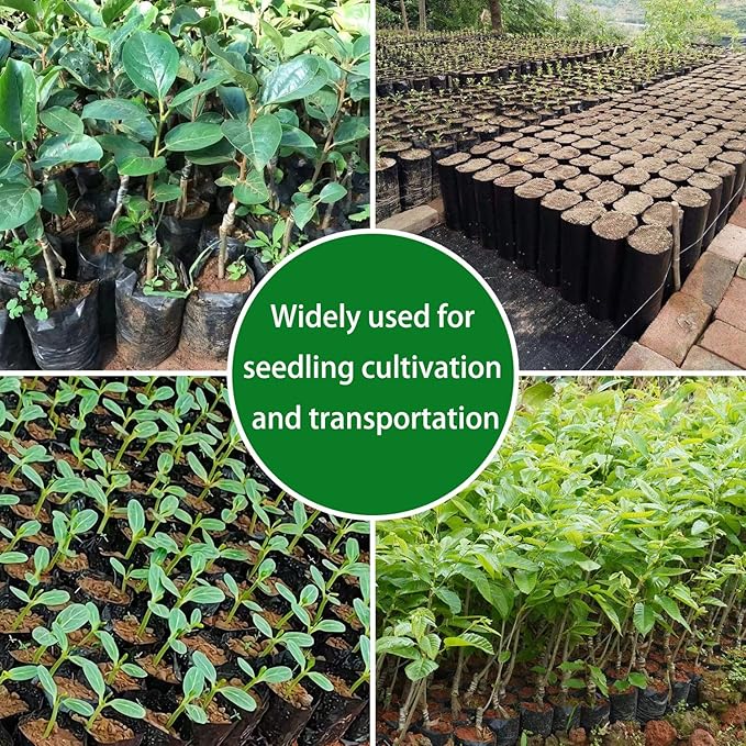 Belit 100 Pcs Plant Nursery Bags, Plastic Seedling Pots Container for Fruit Tree, Flower, Starting saplings, Plant Grow(4.7"x7.3")