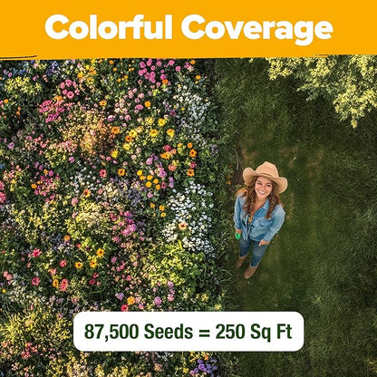 HOME GROWN Texas Wildflower Seeds 87,500+ Non-GMO Perennial Wildflower Seeds Mix for Attracting Bees, Birds & Butterflies - 22 Varieties Bulk Wild Flower Seed Mix for Full Sun & Shade Gardens (2 oz)