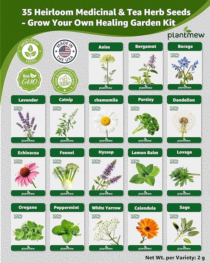 Medicinal & Tea Herb Seeds for Planting - 35 Non-GMO Heirloom Variety Pack for Indoor/Outdoor Garden: Anise, Bergamot, Borage, Fennel, Chamomile, Dandelion, Oregano, Hyssop, Catnip Seeds & More