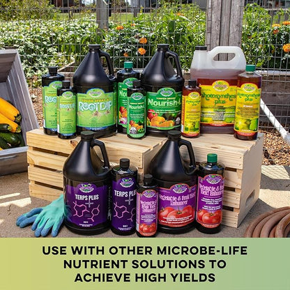Microbe Life Hydroponics Premium Vitamins & Amino Acids Essential for Maximum Plant Growth and Root Uptake, Use with Any Feeding Systems Including Hydroponics or Soil, 16 Ounces