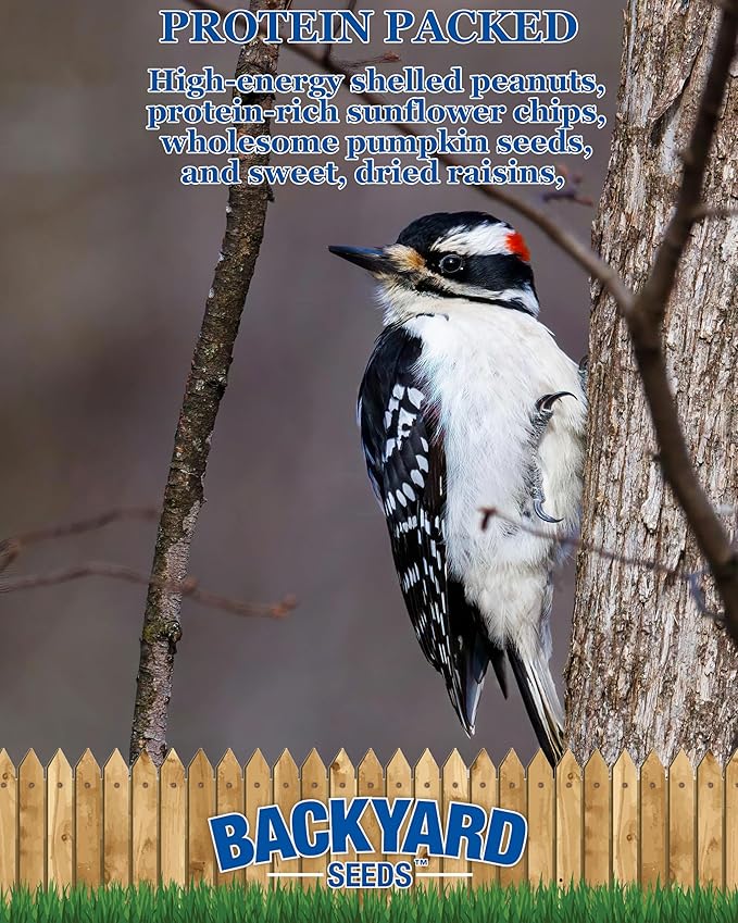 CountryMax Backyard Seeds Woodpecker No-Waste Bird Seed Mix 40lbs - Premium Shelled Peanuts & Sunflower Chips, Two Medium Bags of Wild Bird Food