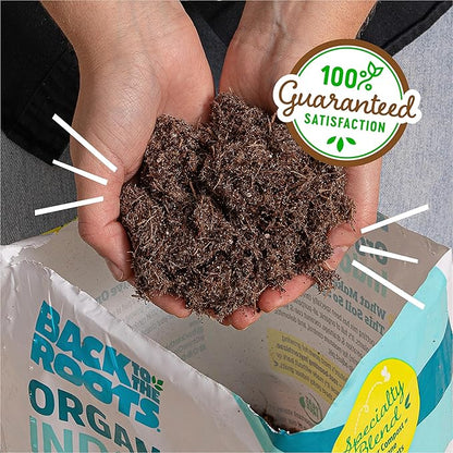 Back to The Roots 100% Organic Indoor Potting Mix (Value 12 Quart) | Promotes Healthy Houseplant Growth| Made in The USA