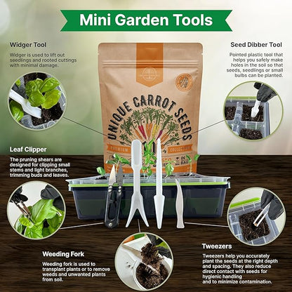 Organo Republic 10 Unique Carrot Seeds Variety Pack - 7,550+ Non-GMO Heirloom Carrot Seeds for Outdoor & Indoor Home Gardening, Including Carrot Imperator 58, Little Fingers, Scarlet Nantes, Parisian