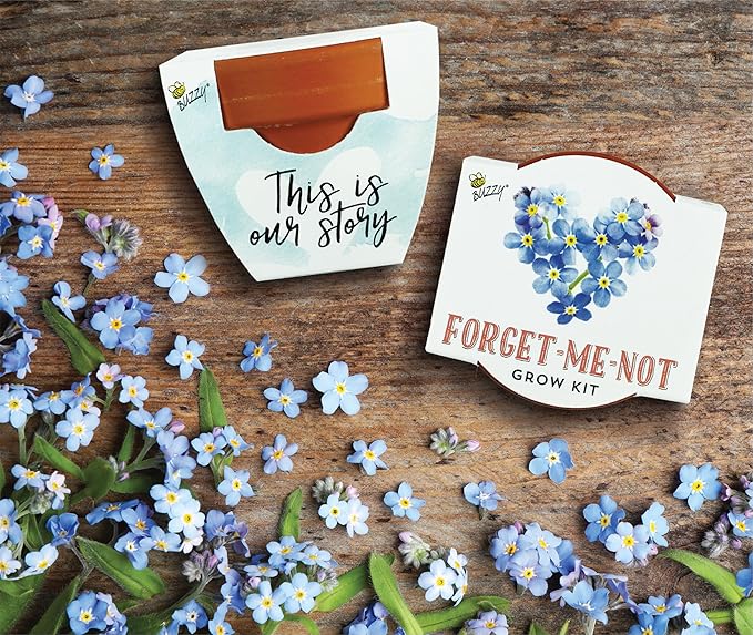 BUZZY Seeds Forget-Me-Not Terracotta Mini Grow Pots Love Collection, 12-Pack All-in-One Gardening Kit for Wedding Favors, Prizes, Birthday Gifts, Party Favors, Bridal Showers, Valentines