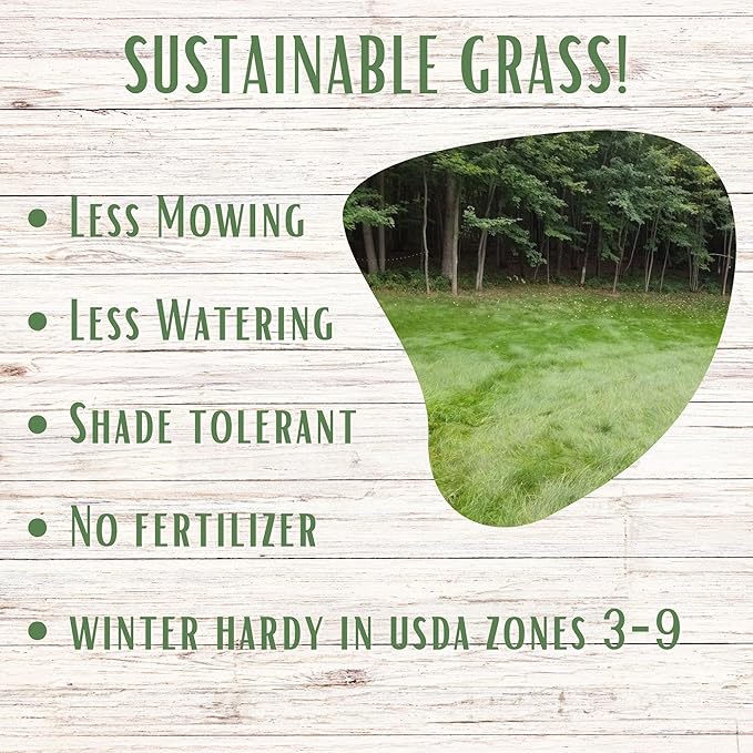 Flawn Seed Kits Simple Lawn Mow Less Fine Fescue Eco-Grass Seed, 4 Lbs, Low Maintenance, Resealable Pail with Handle, Covers up to 2000 Sqft