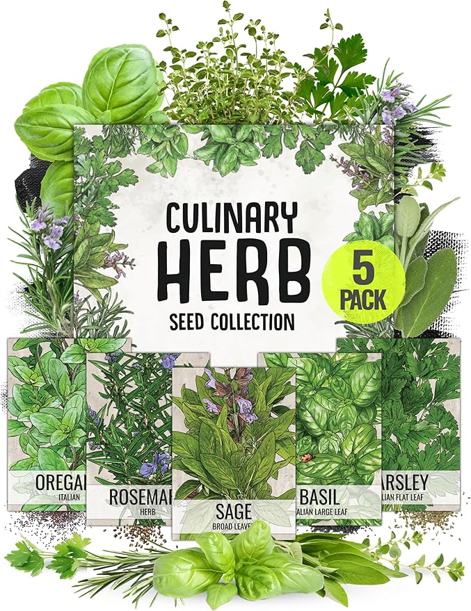 Seed Needs Italian Herb Seed Packet Collection (5 Individual Seed Varieties for Planting) Non-GMO & Untreated - Oregano, Basil, Rosemary, Sage and Parsley