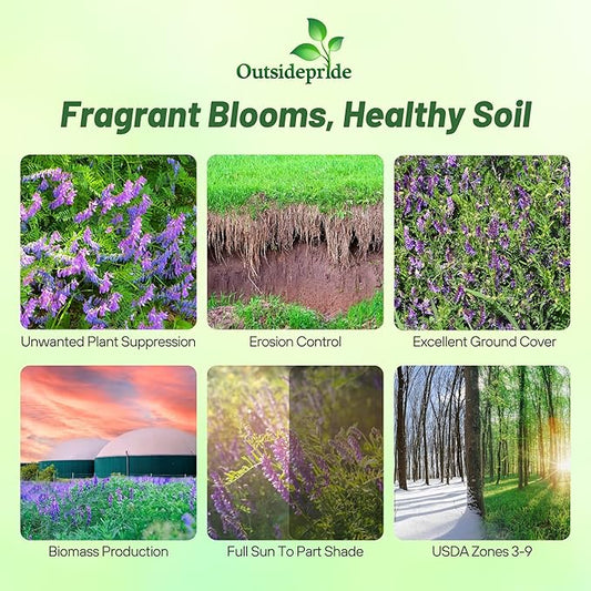 Outsidepride Hairy Vetch Cover Crop Seeds - 50 Lbs Cold Tolerant, Winter Hardy - Ideal for Soil Improvement, Green Pasture, Hay & Livestock Forage - Pollinator Friendly Garden Seeds, Ground Cover
