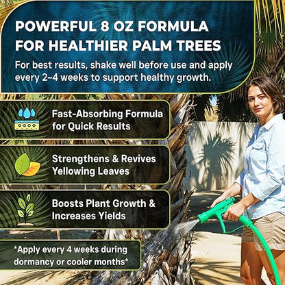 Leaves and Soul Professional Palm Tree Fertilizer Liquid Concentrate - 6-4-6 Blend for Tropical Plant Fertilizer, Garden Use - Liquid Plant Food for Palm Trees and Bushes Outdoors - 8oz