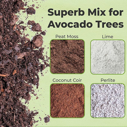 Professional Avocado Potting Mix by Perfect Plants | Premium All-Natural Blend for All Tropical Avocado Trees (8Qt)