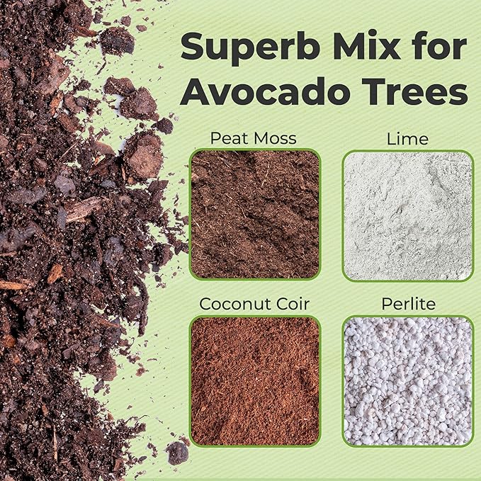 Professional Avocado Potting Mix by Perfect Plants | Premium All-Natural Blend for All Tropical Avocado Trees (4Qt)