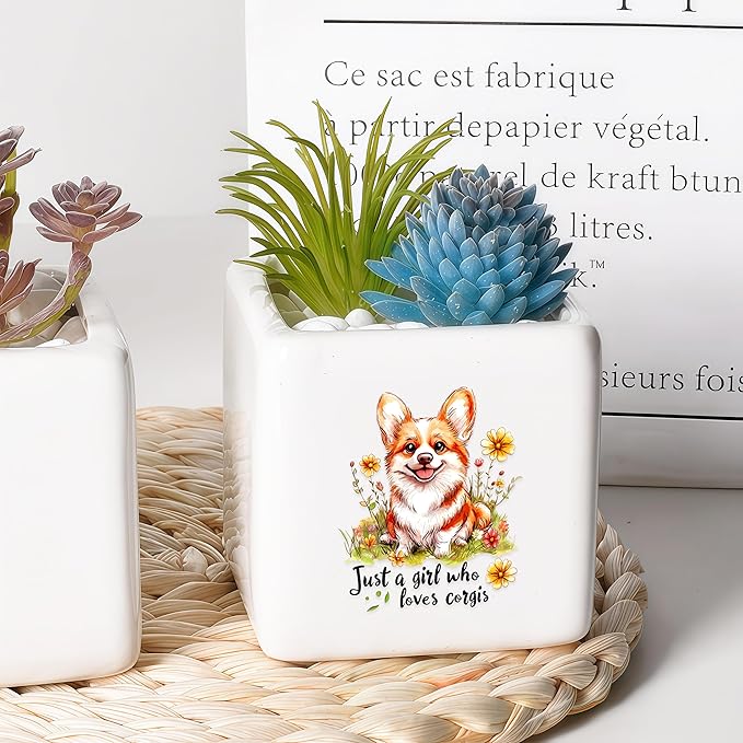 Corgi Succulent Planter Flower Plant Pot Small, Gifts for Women Teens Girls Kids, Corgi Lovers Themed Stuff Accessories Things Decor Merch, Home Office Table Desk Decoration!