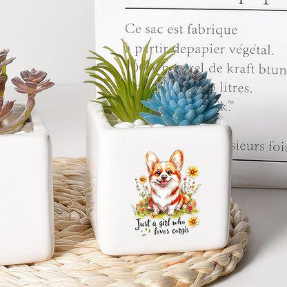 Corgi Succulent Planter Flower Plant Pot Small, Gifts for Women Teens Girls Kids, Corgi Lovers Themed Stuff Accessories Things Decor Merch, Home Office Table Desk Decoration!