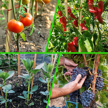 60Pcs Bamboo Stakes for Plant 3 Feet, Garden Bamboo Plant Stakes for Plants Support, Climbing Plants, Tomatoes, Sunflowers, Beans, Potted Plants, Trees