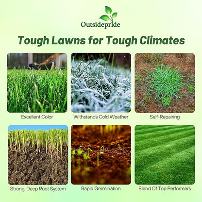 Outsidepride Combat Extreme Northern Zone - 25 Lbs Cold-Hardy, Drought-Resistant Turf Type Tall Fescue & Kentucky Bluegrass Lawn Grass Seed Blend, OptiGrowth Coated for Better Establishment