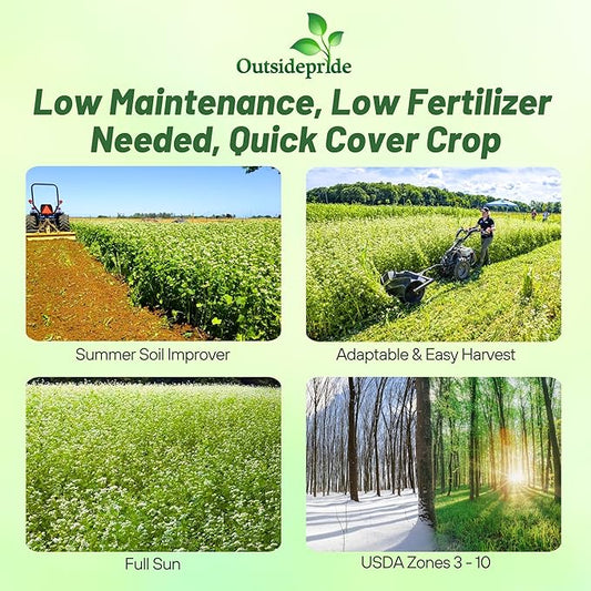 Outsidepride Buckwheat Seeds - 40lbs Annual, Fast-Growing, Easy to Grow Buckwheat Cover Crop Seeds for Green Manure, Bee Pasture & Pollinators, Wildlife Habitat, Soil Improvement, and Erosion Control