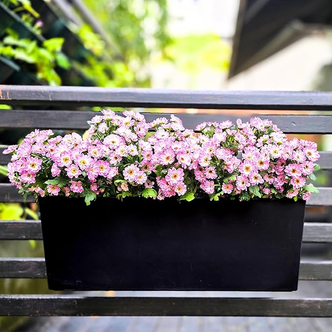 LaLaGreen Railing Planter Box (20 Inch, 4 Pack) Black Rectangular Window Flower Boxes with Bracket, Self Watering System Hanging Planter Box for Outdoor Plant Pots Container Deck Rail Fence Balcony
