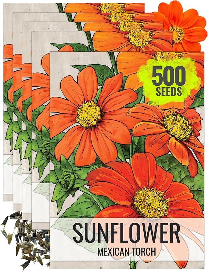 Seed Needs Mexican Sunflower Seeds for Planting Tithonia rotundifolia Flowers - Heirloom & Open Pollinated Flower Seed - Annual Wildflower to Plant a Butterfly Garden (5 Packs)