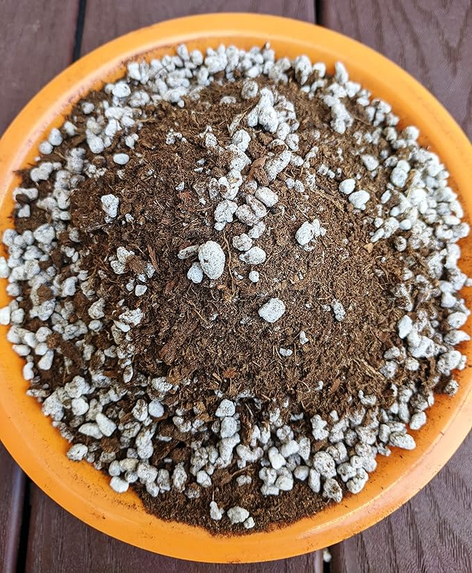 Succulent (½ Gallon / 2 quarts) Plant Potting Soil Mix Peat Moss & Perlite