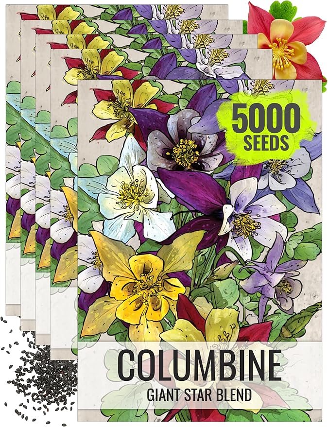 Seed Needs Giant Star Columbine Seeds for Planting Mckana's Mixture - Heirloom & Open Pollinated Colorful Flowers That Attract Pollinators/Butterflies (5 Packs)