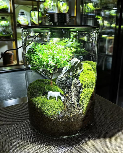 Desktop Glass Terrarium with Grow Light (7.5" H x 5.9" D) - for Succulents, Moss, Mini Gardens, Betta Fish Tanks, Mushroom Cultivation | Indoor Plant Growth | Office/Home Decor | Plant Lover Gifts