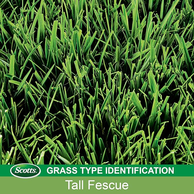 Scotts EZ Seed Patch & Repair Tall Fescue Lawns Combination Mulch, Grass Seed and Fertilizer for Bare Spots and Repair, Grows Anywhere, 3.75 lb, Brown