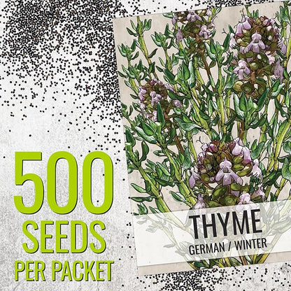 Seed Needs Rosemary & Thyme Seeds for Planting Fresh Kitchen Herbs - Non-GMO Heirloom & Untreated Perennial Herb Seed to Plant a Culinary Garden Indoors or Outdoors (2 Packs)