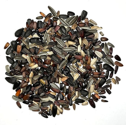 Seed Needs Sunflower Seeds to Plant The Original Crazy Blend | 500+ Heirloom Seeds 15+ Varieties Open Pollinated & Untreated | XL Packet Multicolored Blooms Flower Seed
