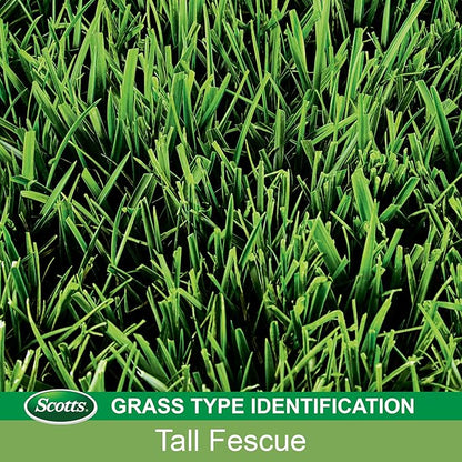Scotts EZ Seed Patch & Repair Tall Fescue Lawns Combination Mulch, Grass Seed and Fertilizer for Bare Spots and Repair, Grows Anywhere, 40 lb.
