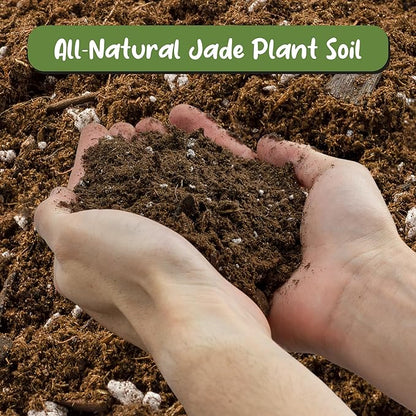 Soil Sunrise Jade Plant Potting Soil Mix (8 Quarts) Hand Blended Additive for Jade Succulents