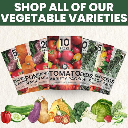 Herb Seeds | 5 Invidiual Packs | 2026 Season | Non-GMO | Basil, Dill, Spearmint, Parsley & Thyme! | for Planting Indoor & Outdoor | by Family Sown