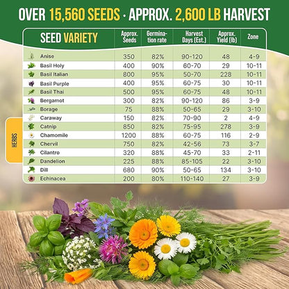 Organo Republic 30 Medicinal & Tea Herb Seeds Variety Pack 15,560+ Non-GMO Heirloom Garden Seeds for Indoor & Outdoors, Including Anise, Bergamot, Borage, Cilantro, Chamomile, Dandelion Seeds