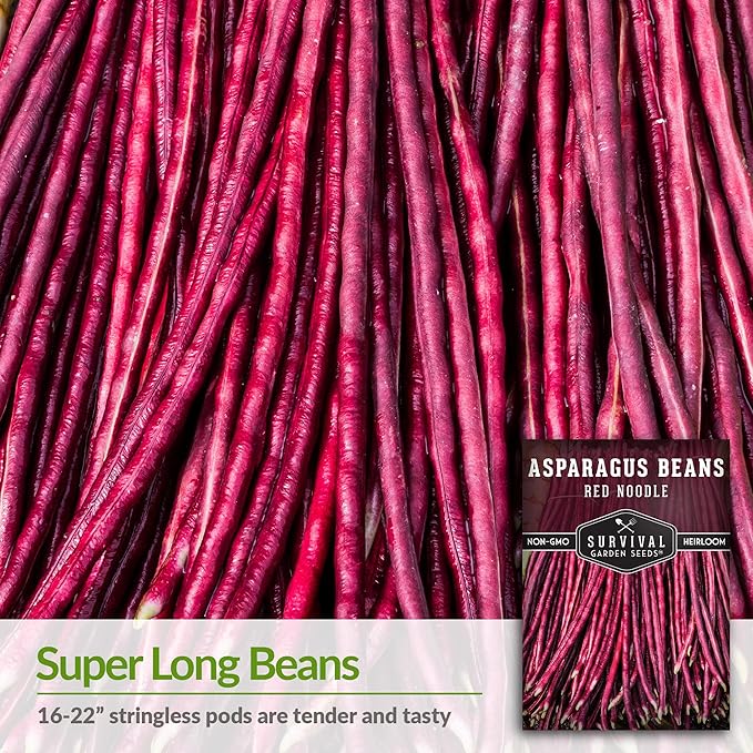Survival Garden Seeds - Red Noodle Asparagus Bean Seed for Planting - 3 Packs with Instructions to Plant and Extremely Long Stringless Beans in Your Home Vegetable Garden - Non-GMO Heirloom Variety