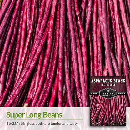 Survival Garden Seeds - Red Noodle Asparagus Bean Seed for Planting - Packet with Instructions to Plant and Extremely Long Stringless Beans in Your Home Vegetable Garden - Non-GMO Heirloom Variety
