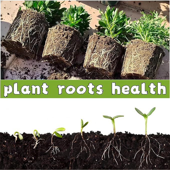 580 Cells Seed Starter Tray 58 Packs Biodegradable Peat Pots Germination Trays Organic Seed Starting Trays kit with 58 Labels 2 Transplant Tools