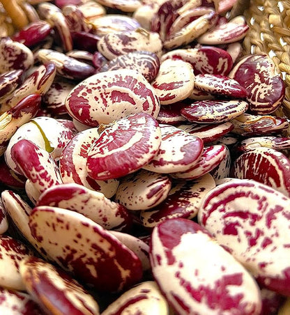 TomorrowSeeds - Christmas Lima Bean (Pole) Seeds - 120+ Count - for 2026 Planting Red Speckled Large Pods Heat Tolerant Chestnut Calico Cranberry Butter Green Vegetable Grow Your Own Home Farm Patio