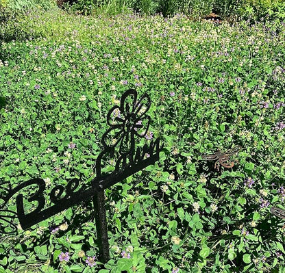 Twin City Seed Co. Bee Lawn Mix, Grass & Flower Mixture, 25 lb Bag