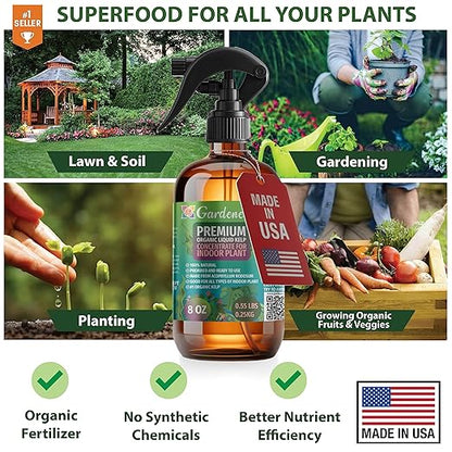 GARDENERA Professional Organic Liquid Kelp Spray for Lemon Plants - 8 oz - Ready-to-Use Fully Organic Seaweed & Kelp Fertilizer Mist