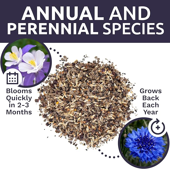 Wildflower Seeds Partial Shade Mix - 1 Ounce Over 7,000 Open Pollinated Annual and Perennial Seeds