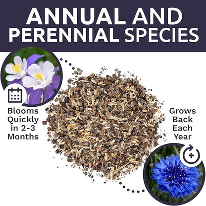 Wildflower Seeds Partial Shade Mix - 1 Ounce Over 7,000 Open Pollinated Annual and Perennial Seeds